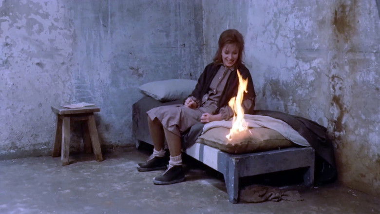 кадр из фильма Teresa la ladra