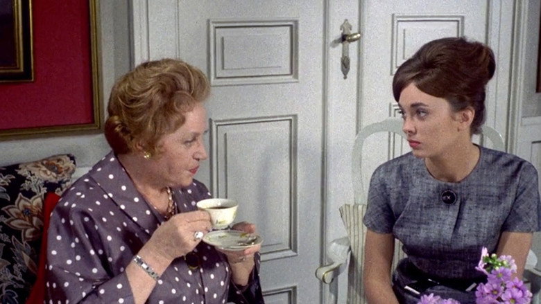 кадр из фильма Den rige enke