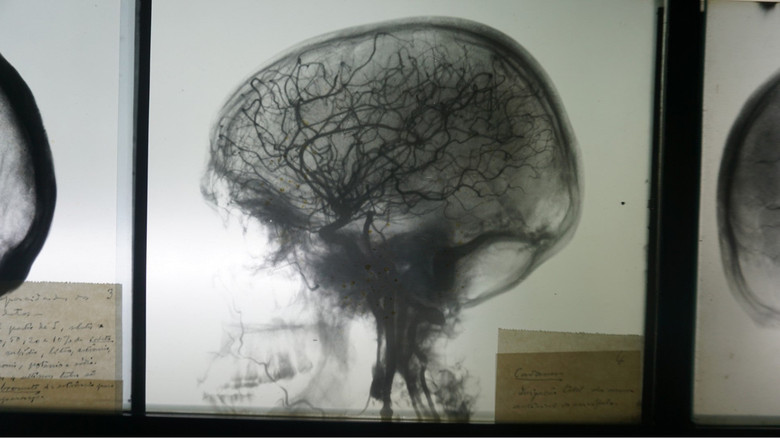 Uma Conversa em Família