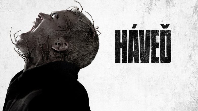 кадр из фильма Паутина страха