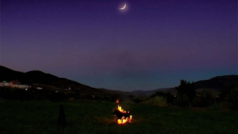 кадр из фильма La querencia