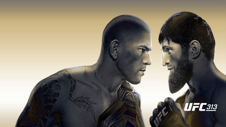 кадр из фильма UFC 313: Перейра vs. Анкалаев