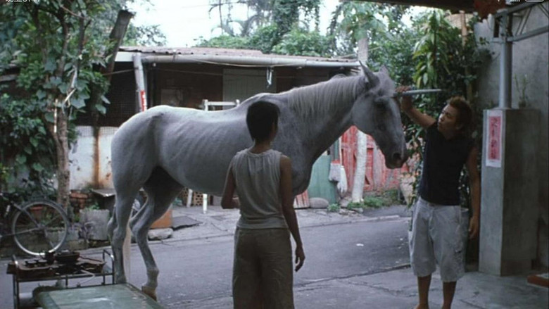 кадр из фильма 美麗時光