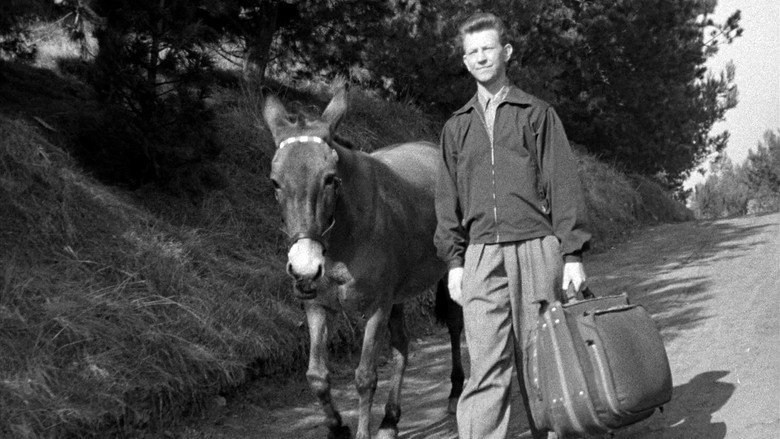 кадр из фильма Francis Goes to the Races