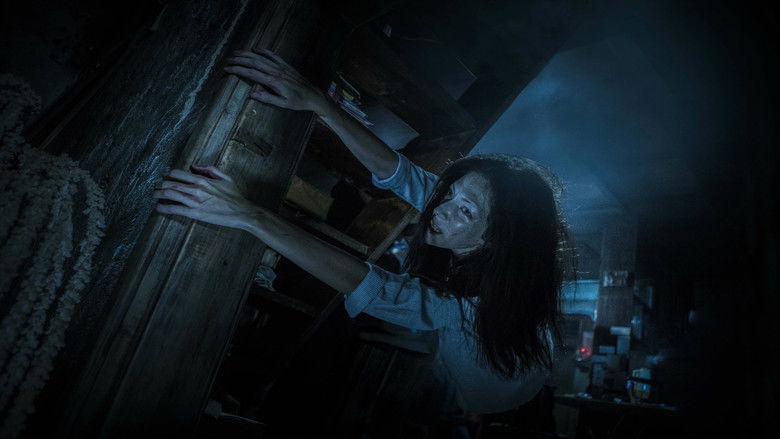 кадр из фильма По пятам 2