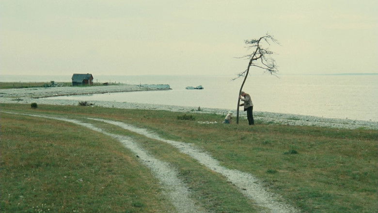 кадр из фильма Жертвоприношение