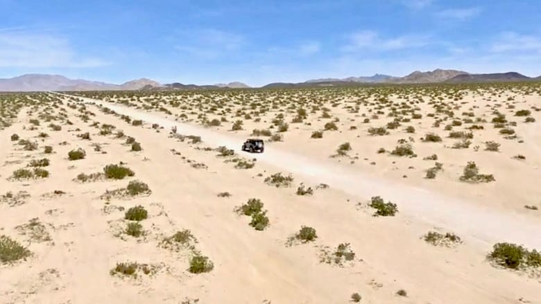 кадр из фильма Principles of Curiosity