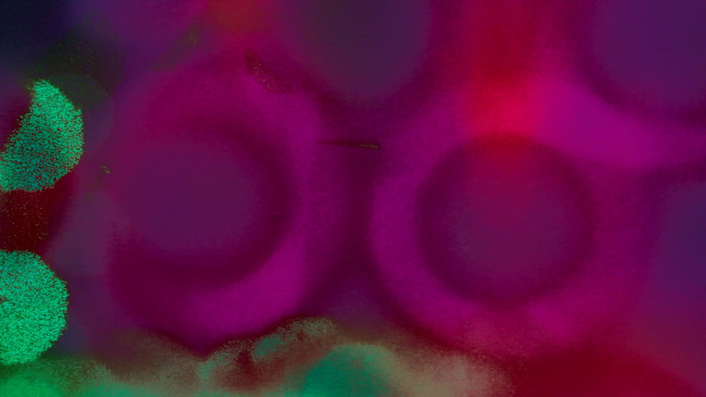 кадр из фильма Universos