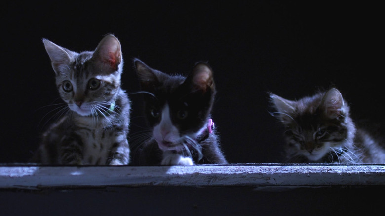 кадр из фильма Санта Лапушки