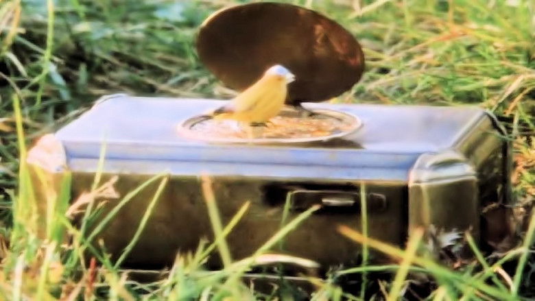 кадр из фильма Sagolandet