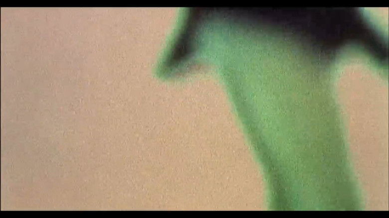 кадр из фильма Осленок Джулиэн