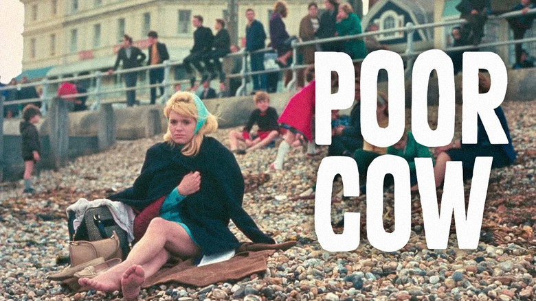 кадр из фильма Poor Cow