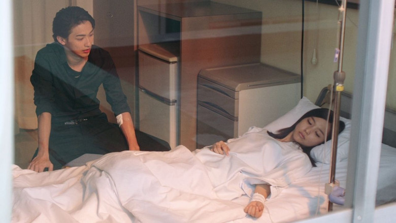 кадр из фильма 青の帰り道