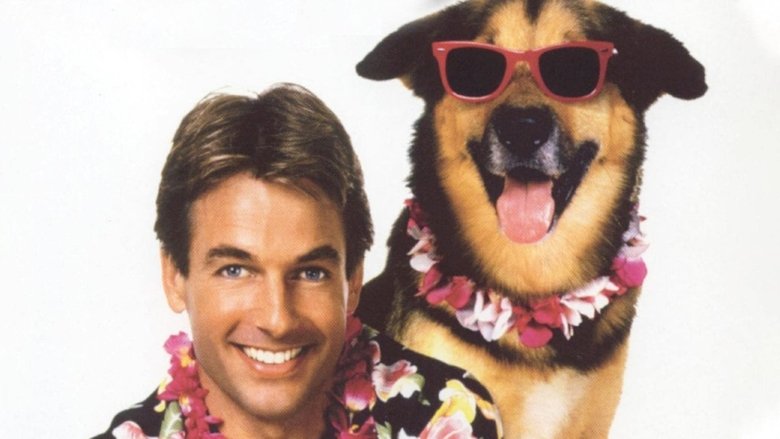 кадр из фильма Летняя школа