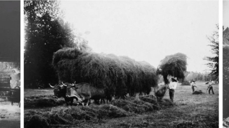 Jenny de Vasson, le miroir inversé