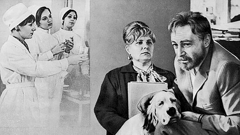 кадр из фильма Белый Бим Чёрное ухо