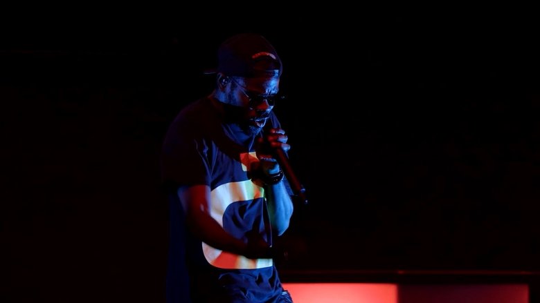 кадр из фильма Féfé et Leeroy 365 Jours Live à l'Élysée Montmartre