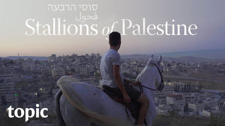 кадр из фильма Stallions of Palestine