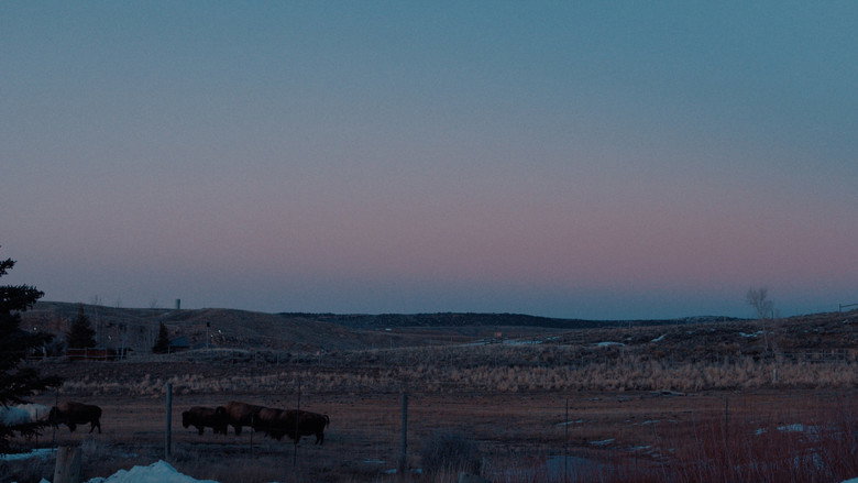 кадр из фильма 50 Hours to Wyoming