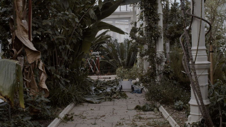 кадр из фильма 擇鳥記