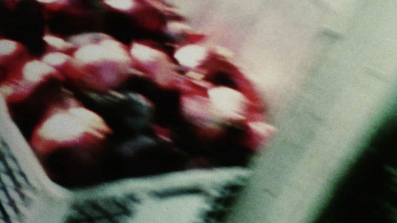 кадр из фильма Chimera