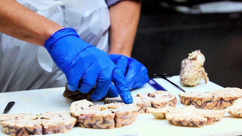 кадр из фильма Monster in the Mind