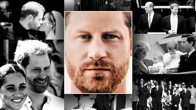 кадр из фильма Harry: The Interview