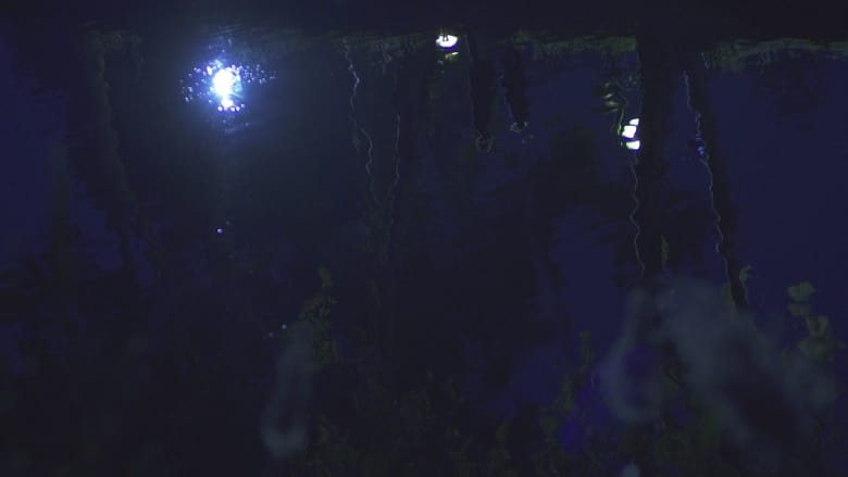кадр из фильма לילות