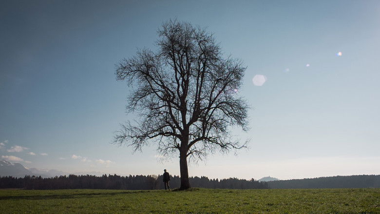 кадр из фильма Zunaj
