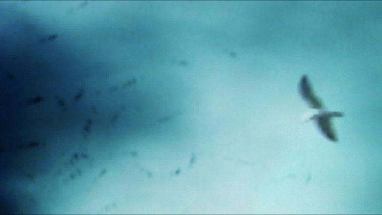 кадр из фильма Rubicon