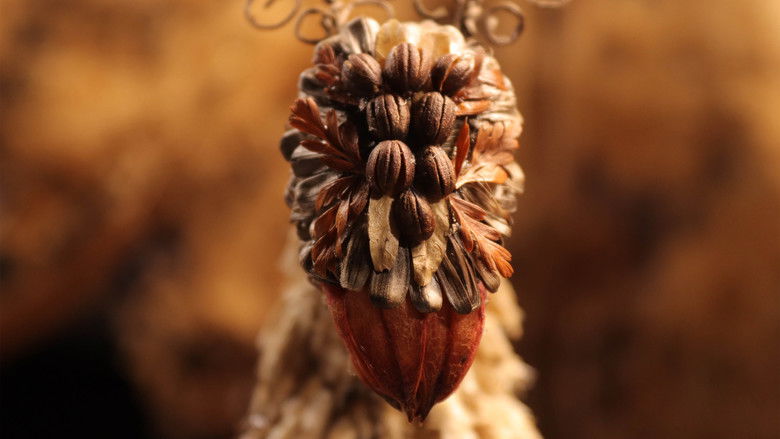 кадр из фильма 化