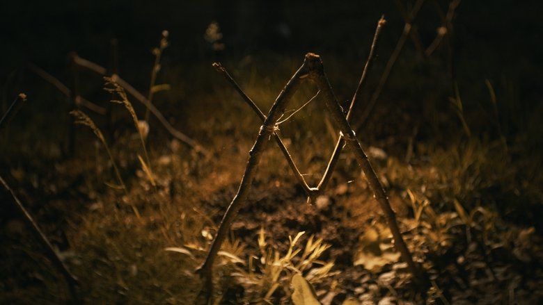 кадр из фильма Шелби Оукс. Город-призрак