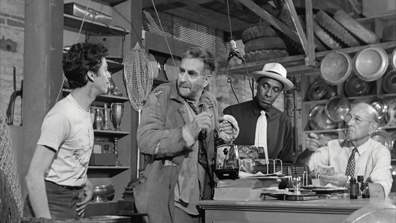 кадр из фильма Lady in a Cage