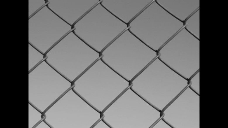 кадр из фильма Po Ptakach