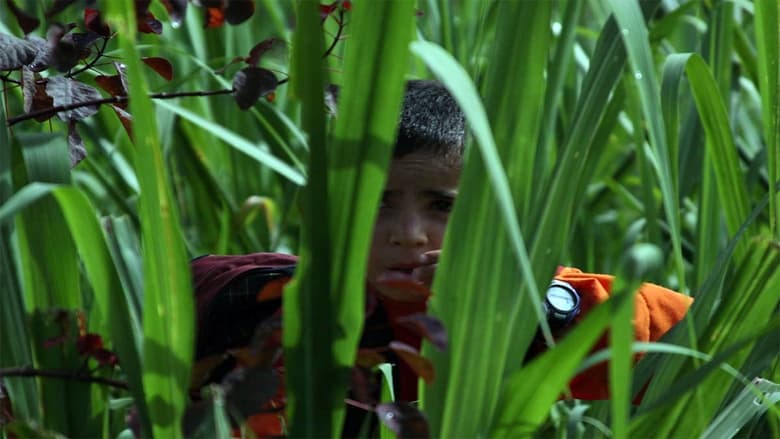 кадр из фильма Los colores de la montaña
