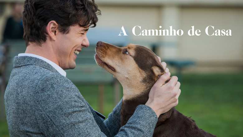 кадр из фильма Путь домой