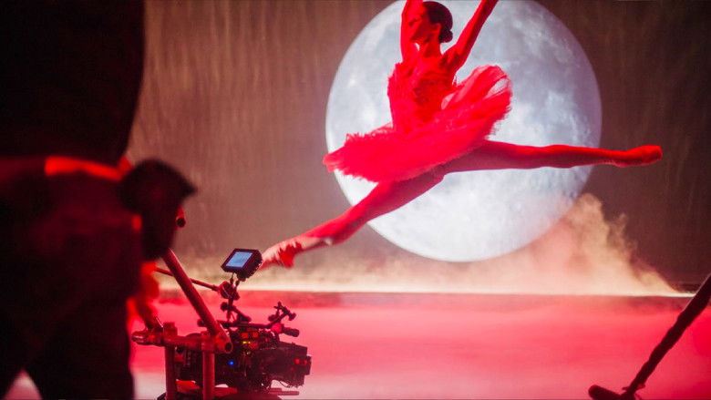 кадр из фильма Black Swan: Metamorphosis