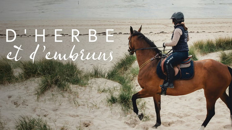 D'herbe et d'embruns