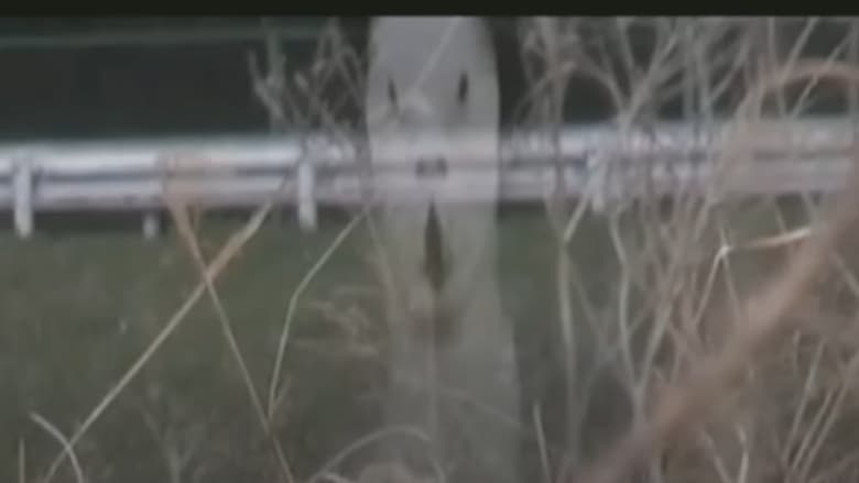 кадр из фильма 呪われた心霊動画 XXX 7