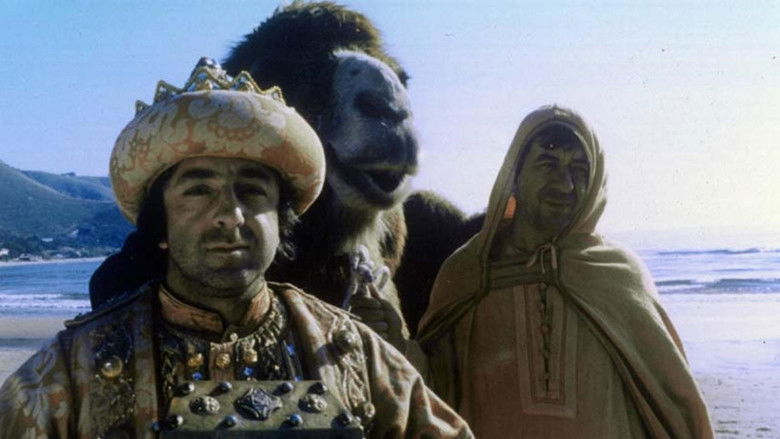 кадр из фильма I magi randagi