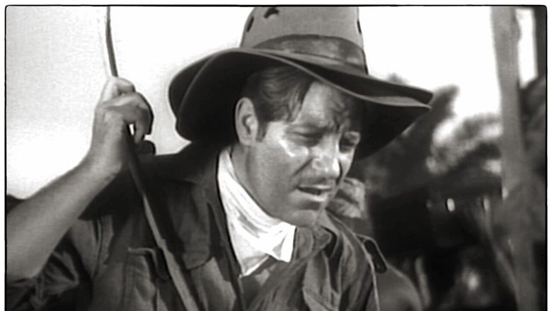 кадр из фильма Le Messager