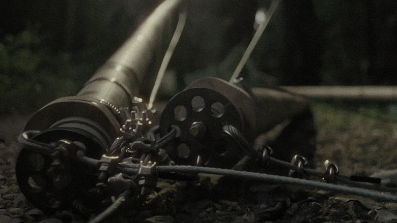 кадр из фильма DARIO - How To Not Change The World