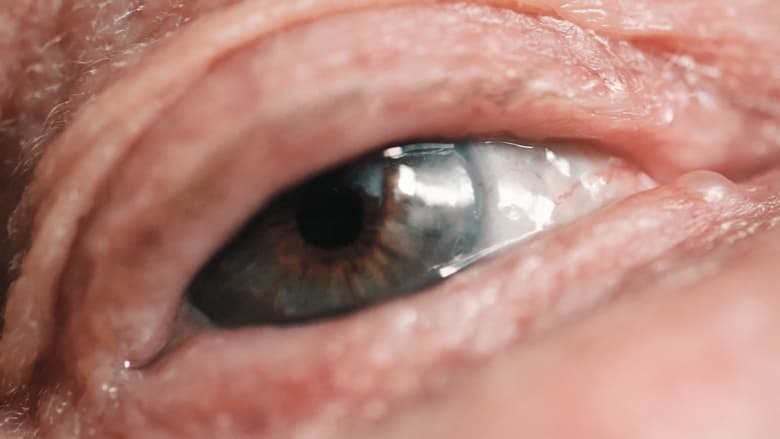 кадр из фильма Das Verschwinden vor dem Inneren Auge