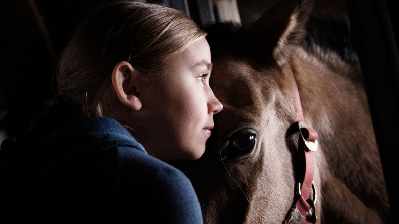 кадр из фильма Маленькое крыло