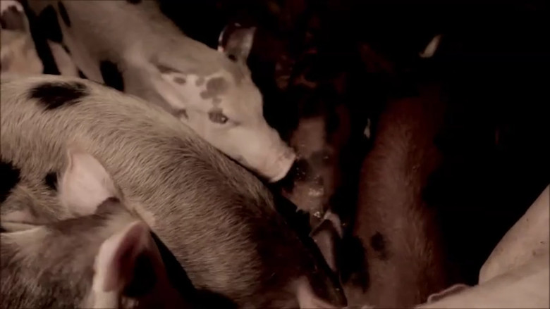 кадр из фильма Lavagem