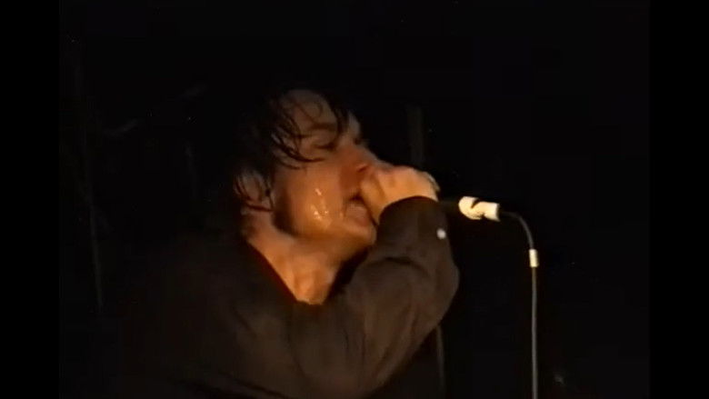 кадр из фильма Bob Hund - en film av Dan Sandqvist och Martin Kann