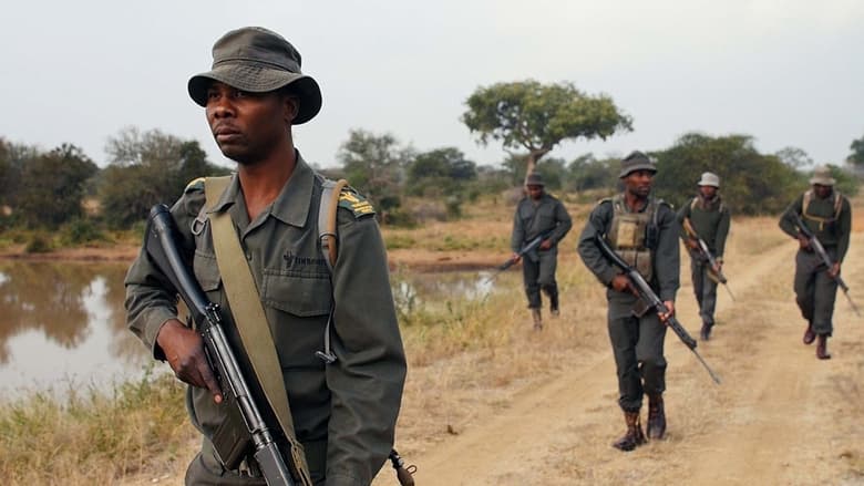 кадр из фильма Rhino Man