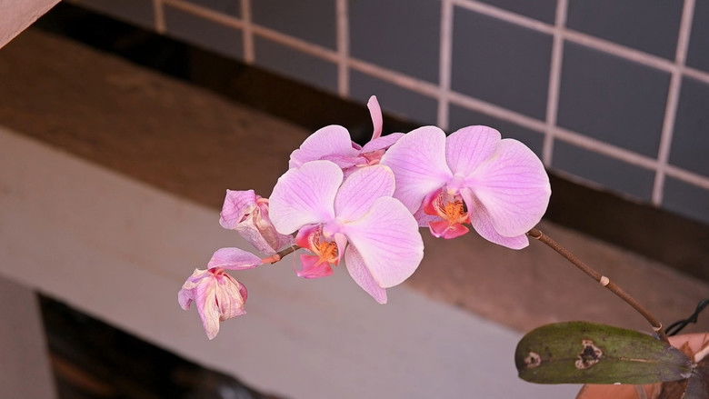 кадр из фильма Eu observo com meus olhos...