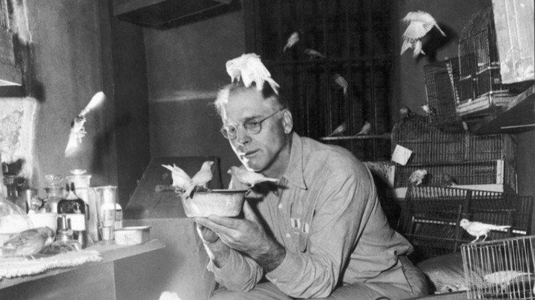 кадр из фильма Любитель птиц из Алькатраса