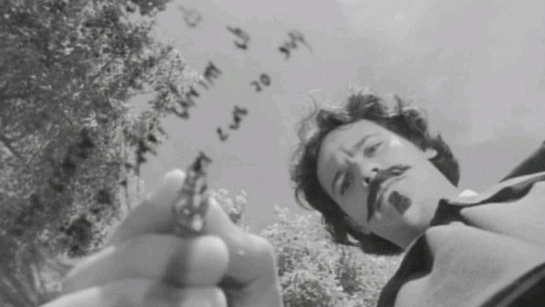 кадр из фильма Primaveras